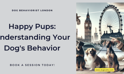 Finding Balance: Dog Behaviorist London for Happy Pups